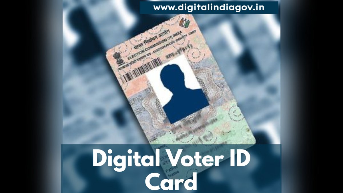 Voter